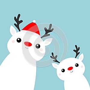 Two white reindeer deer head face icon set. Cute cartoon kawaii baby character. Red hat, nose, horns. Merry Christmas. Happy New