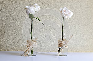 Two white roses