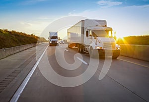 Two white semi trucks on road photo