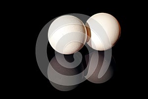 Two white shell eggs isolated on black background