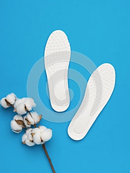 Two white shoe insoles and a sprig of cotton on a blue background