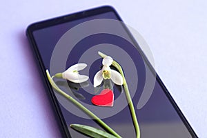 Two white snowdrops lie on the phone, a red heart-the concept of frequent pleasant calls to relatives and loved ones