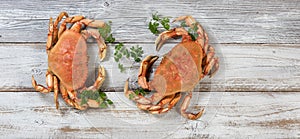 Two whole Dungeness Crabs