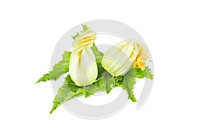 Two whole fresh yellow edible flower and leaf of zucchini or courgettes, object isolated on white background