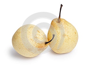 Two whole nashi pears