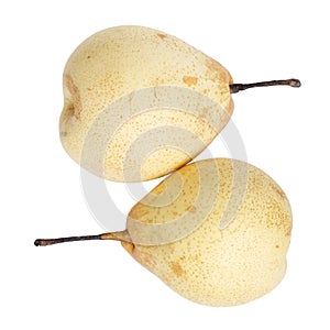 Two whole nashi pears