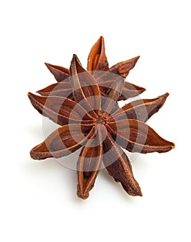 Two whole star anise in closeup