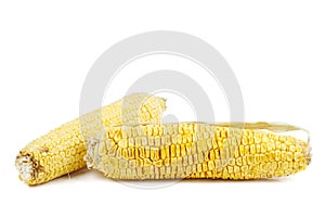 Two wilted corn cob with dry leaves isolated on white