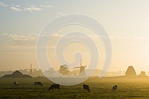 Two Wind Mill and Cows Streefkerk