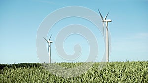 Two wind turbines in a field with young green wheat