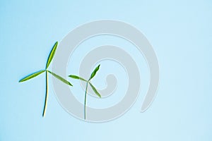 Two windmills made of fresh green leaves