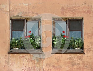 Two windows in old wall