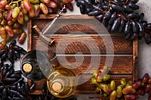 Two Wine bottles with grapes and wineglasses on old gray concrete table background with copy space. Red wine with a vine branch. W