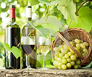 Dos botellas de vino dos anteojos a uvas en 