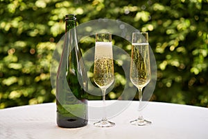 Two wine glasses flute type with sparkling wine or champagne