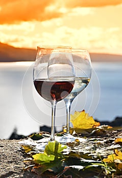 Two wineglasses and grapes