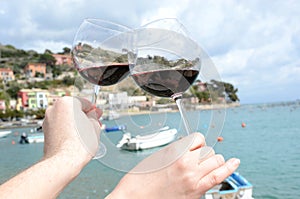 Two wineglasses in the hands