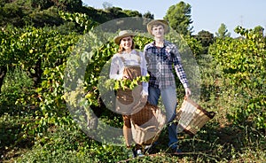 Two winemakers in vine rows