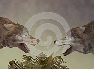 Two wolves. Dialogue.