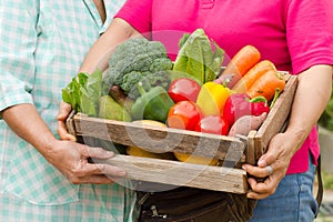 Two woman are carry Homemade fresh organic vegetable full in wooden box ready to delivery