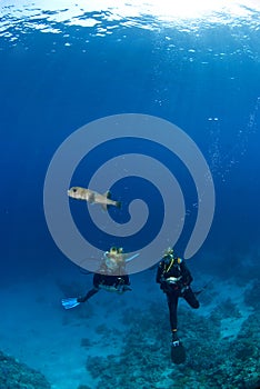 Two Woman with a fish