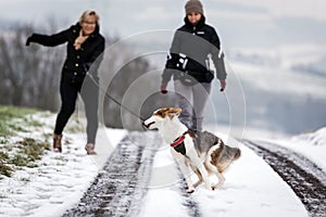 Two woman walk with their dog, tugging on the leash