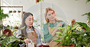Two women of different ages and nationalities are conversing while working, caring for plants in a brightly colored