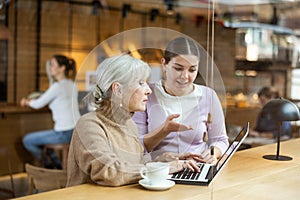 Two women discussing something on a laptop screen while sitting at the bar in restaurant