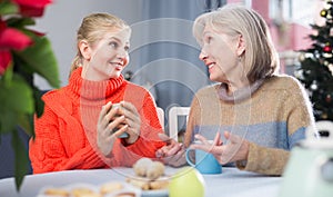 Two women drink tea and eat cakes near the New Year tree.