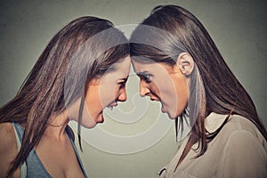 Two women fight. Angry women screaming looking at each other