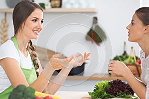 Two women friends cooking in kitchen while having a pleasure talk. Friendship and Chef Cook concept