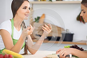 Two women friends cooking in kitchen while having a pleasure talk. Friendship and Chef Cook concept