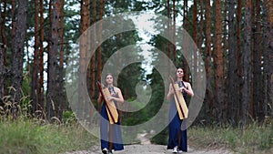 Two women harpists walk at forest and play harps on background of pines.