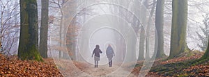 two women hike on foggy day in winter on sand path between beech trees