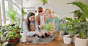 Two women, one of Asian descent, sharing their love for gardening while working together in a flower shop, surrounded by