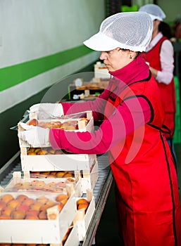 Two women packaging fresh apricots