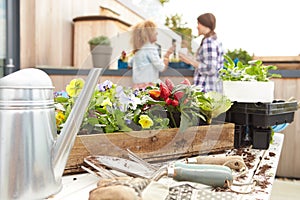 Two Women Planting Rooftop Garden Together