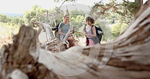 Two women rest during a hike, framed by a weathered tree trunk