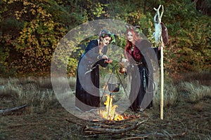 Two women shamans make a potion