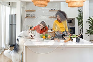 Two women share a jovial moment in the homely kitchen. Amidst their laughter, a Siberian Husky sits attentively with hopeful eyes