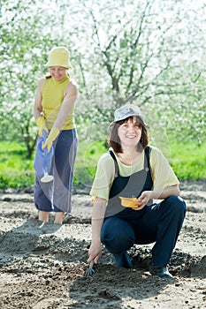 Two women sows seeds photo