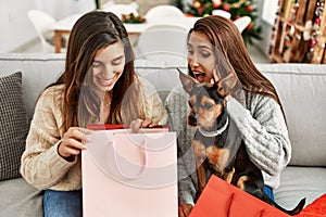 Two women surprise with gift bag sitting with dog by christmas tree at home