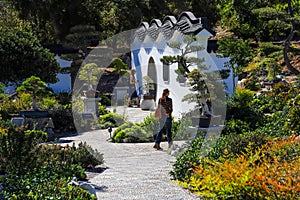 Two women walking around in a Chinese botanical garden surrounded by lush green and autumn colored trees and plants