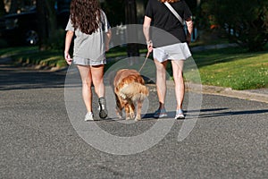 Two Women Walking Dog on Street