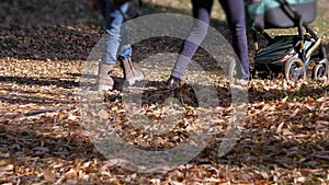 Two Women Walking with a Stroller in the Autumn Woods, in Park. Zoom. Close up
