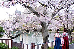 Two women wear traditional Japanese Kimono or Yukata, women behind while sightseeing sakura in sakura cherry blossoms park, in Jap