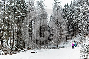Two women winter hiking with baby stroller, mother and baby