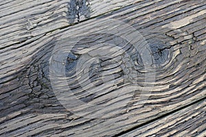 Two Wood Knots Eyes Background
