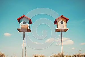 Two wooden birdhouses, a house for birds