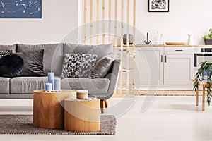 Two wooden block shape like coffee tables with kinck knacks in front of grey scandinavian sofa with pillows photo